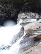 Tellico 11